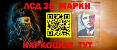 a pvp Камышлов