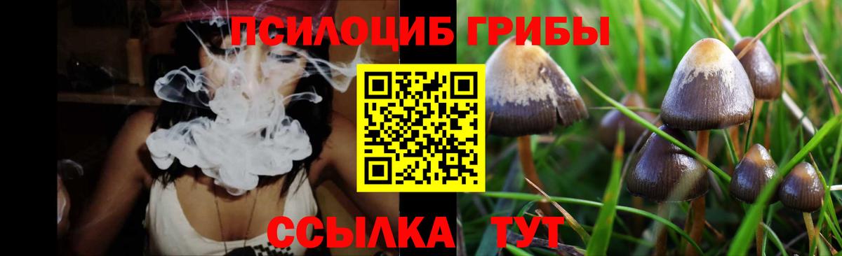 Галлюциногенные грибы Cubensis  Галлюциногенные грибы MAGIC MUSHROOMS  Кировск  Вход с VPN 